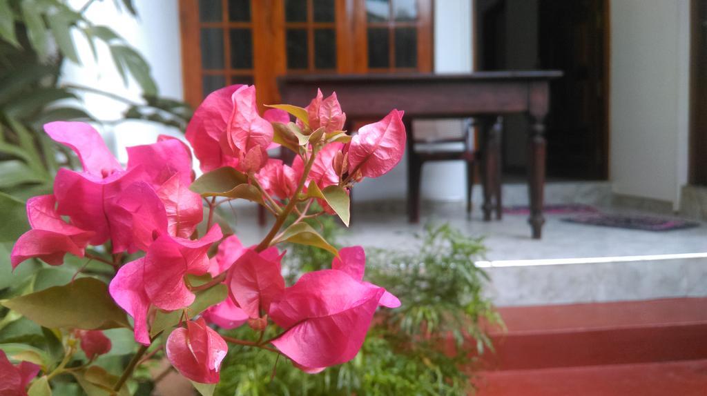 Aluthgedara Guest House Unawatuna Exteriér fotografie